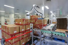 现了中药制剂从动化、检测智能化、及时动态化